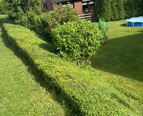 Gartenpflege